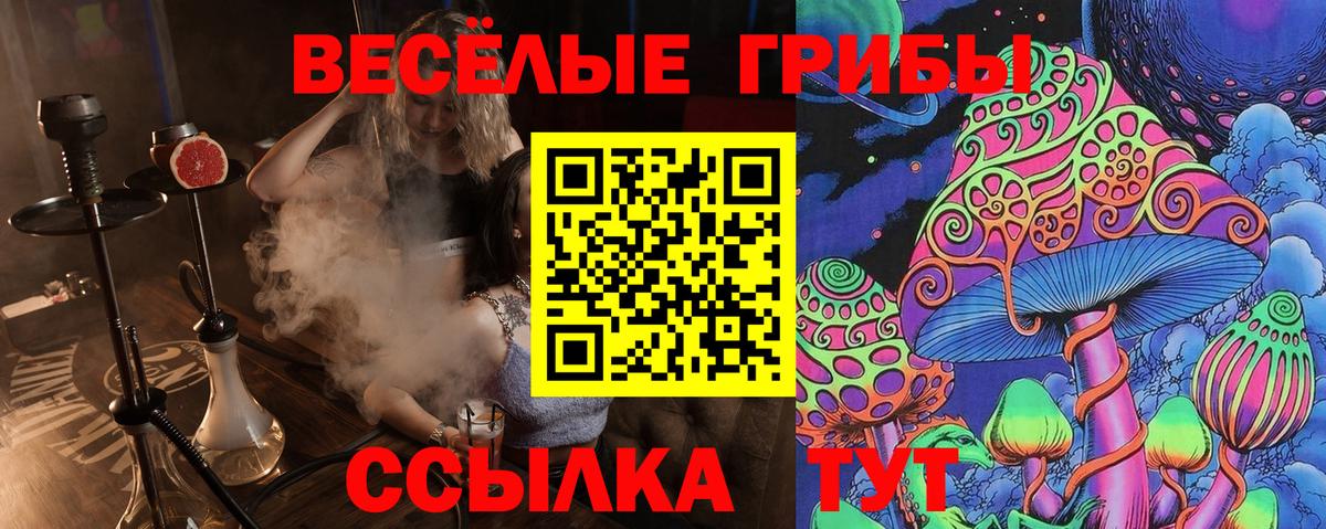 цены   Псилоцибиновые грибы MAGIC MUSHROOMS  Вход с VPN  Артёмовский 