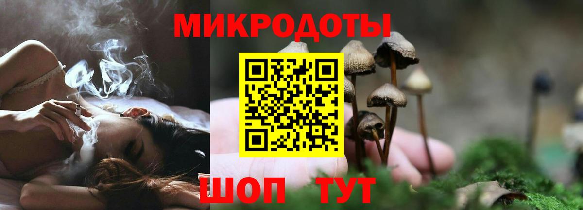 Псилоцибиновые грибы прущие грибы Артёмовский